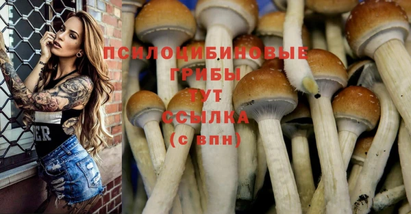 марки nbome Арсеньев