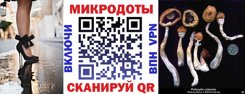 закладка  Городище  Псилоцибиновые грибы Magic Shrooms 